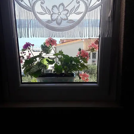 Toma Omiš